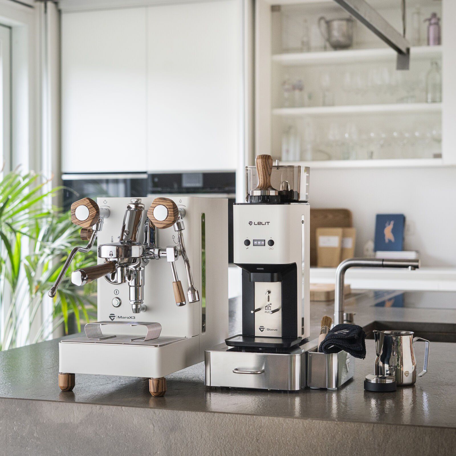 Steve Flat BURR WHT Type Q