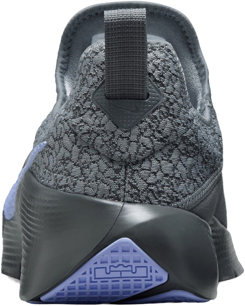 Lebron TR 1 Tr&aelig;ningssko