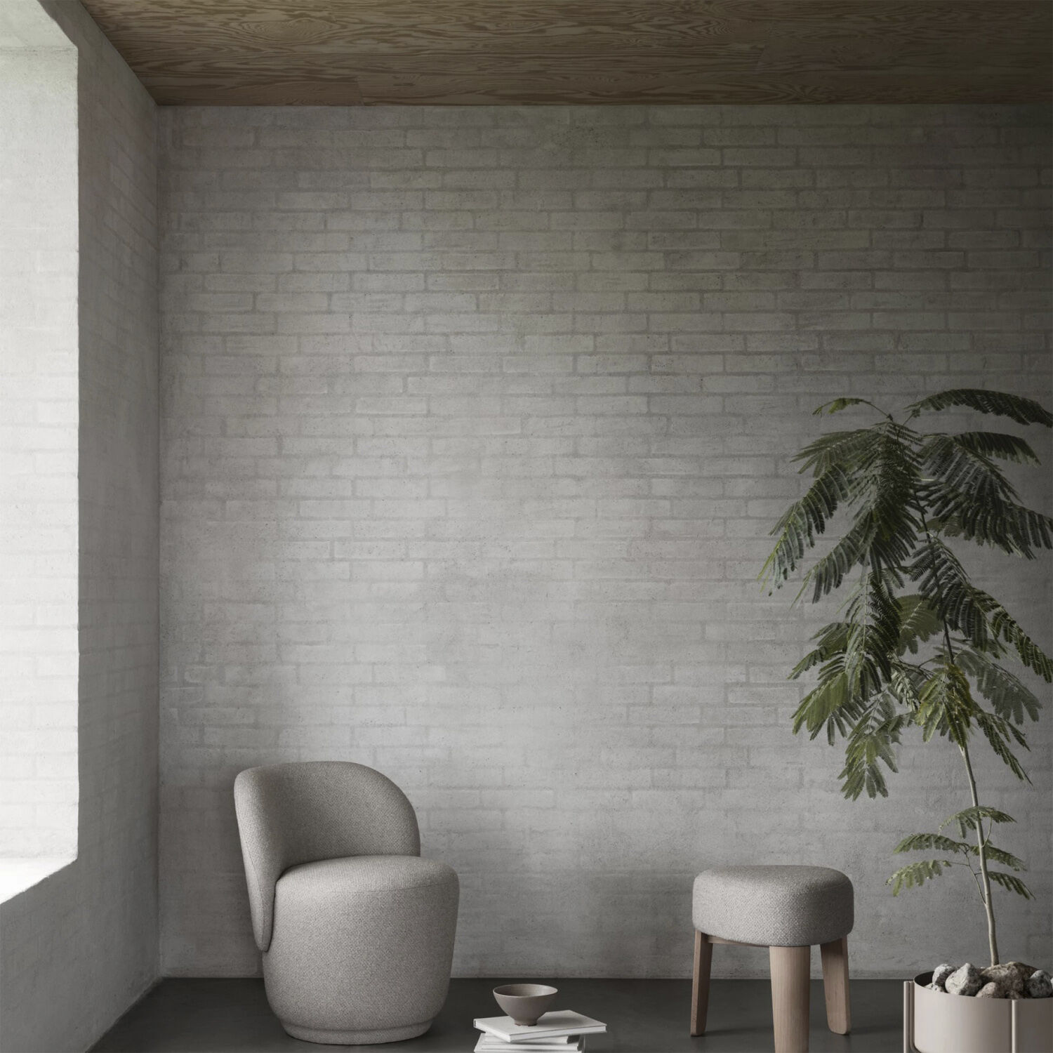 Bowl -KUMI- Colour Fungi Size L