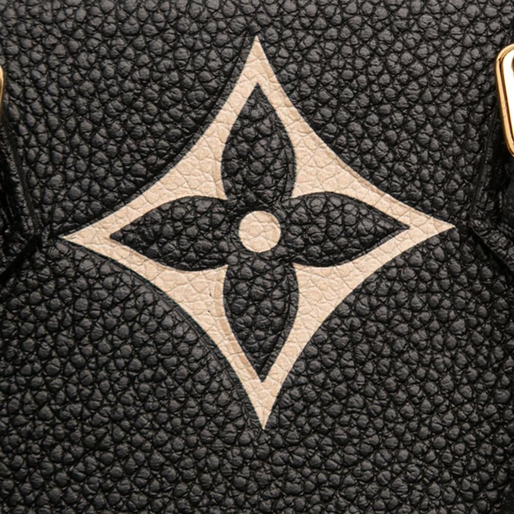 Louis Vuitton Sac Plat