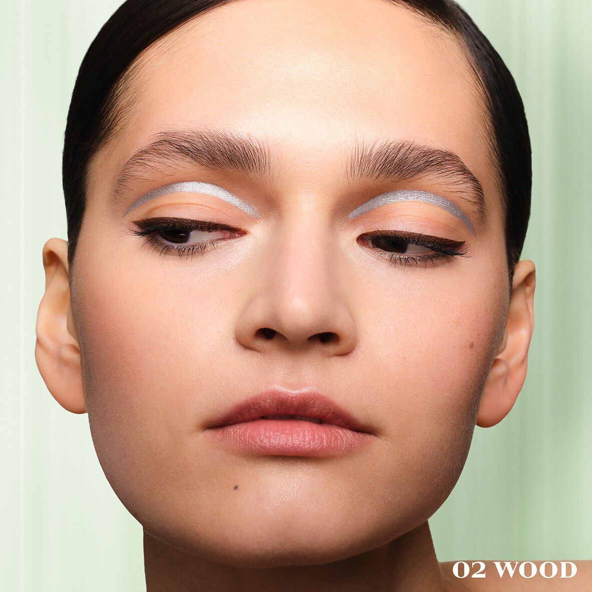 PR EYELINER 02WOOD FG 1. 2G