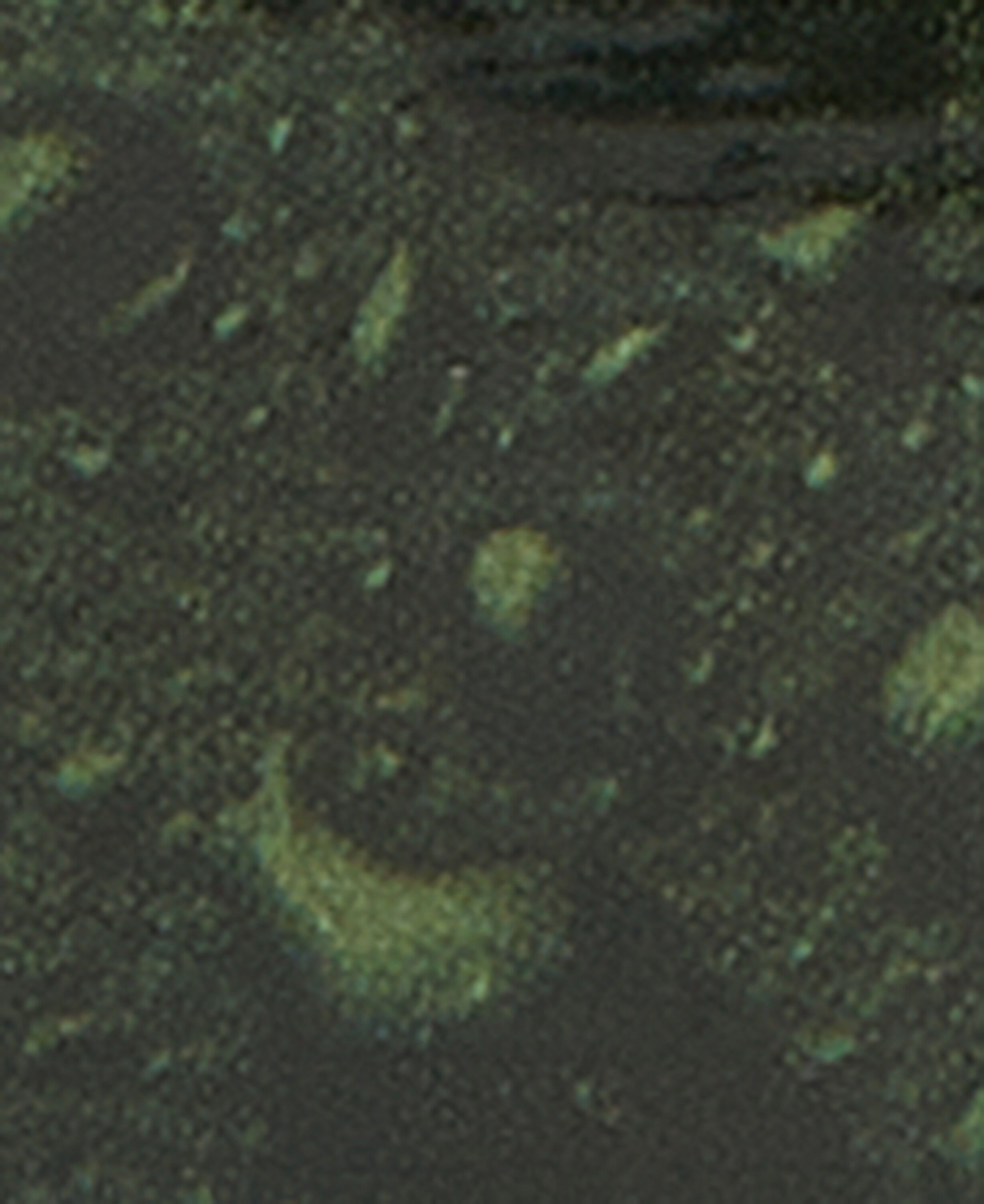 Thornproof Dressing voks