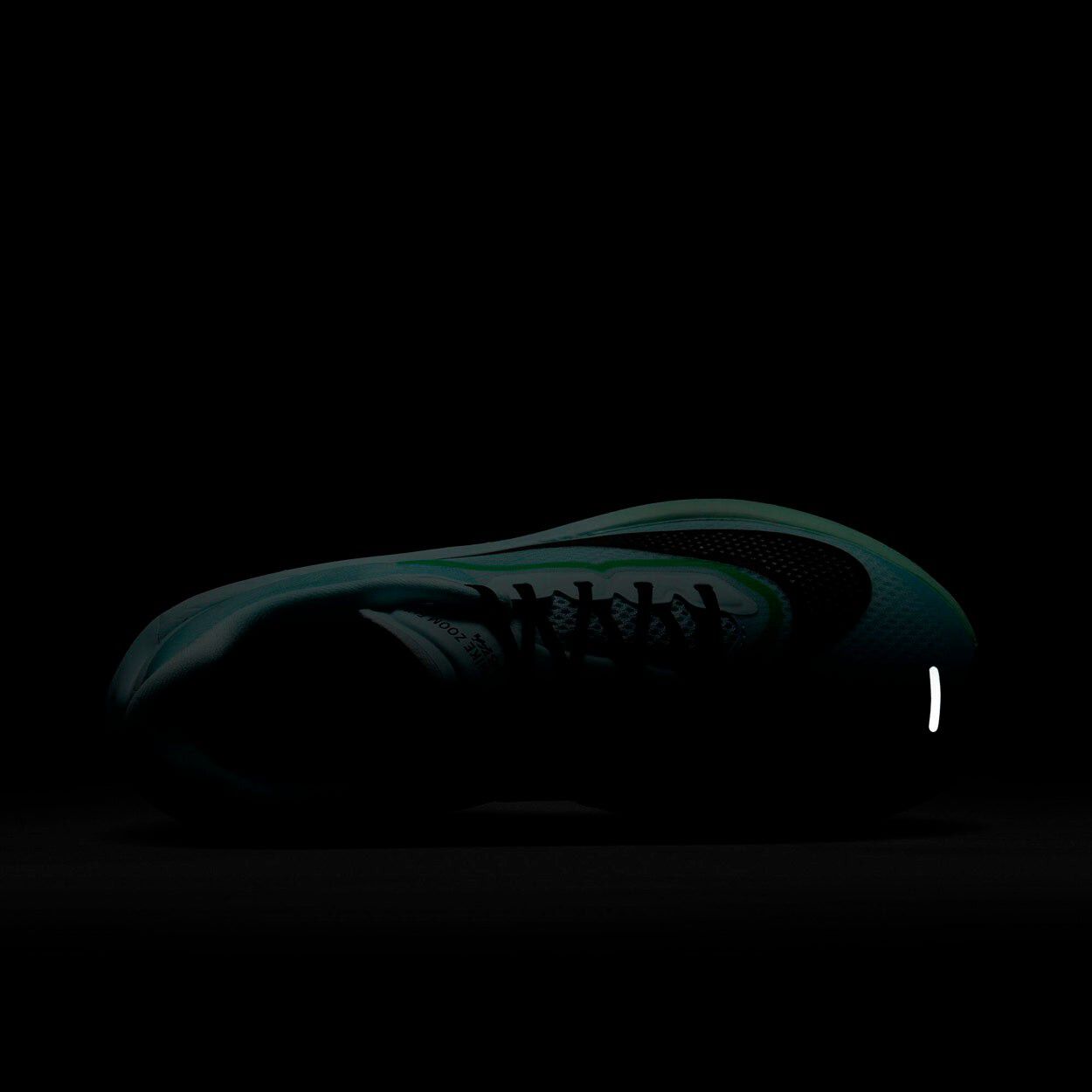 Zoom Fly 6 L&oslash;besko