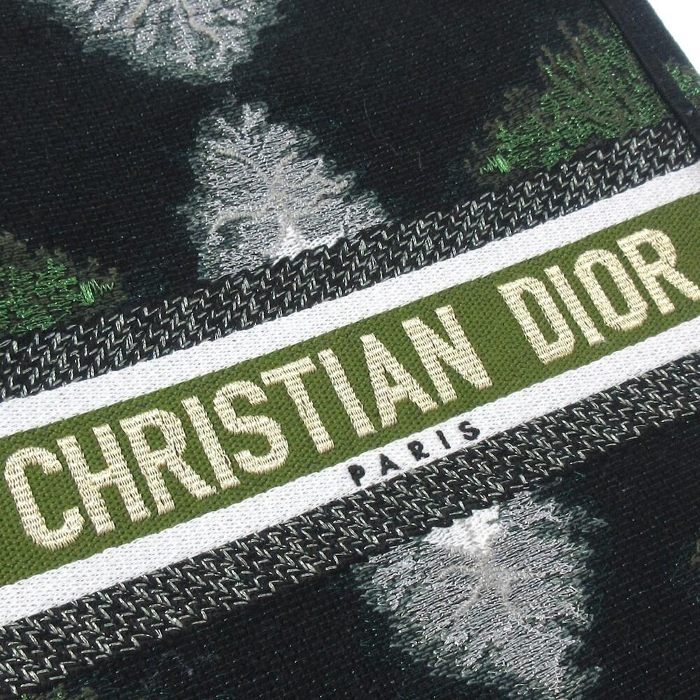 Dior Book Tote