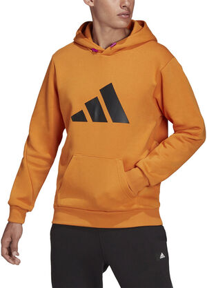 Sportswear Future Icons Winterized hættetrøje