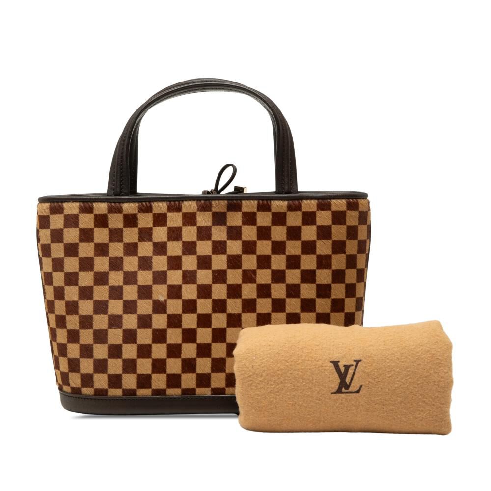 Louis Vuitton Handbag