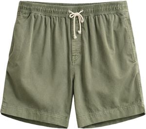REG SUNFADED DS SHORTS