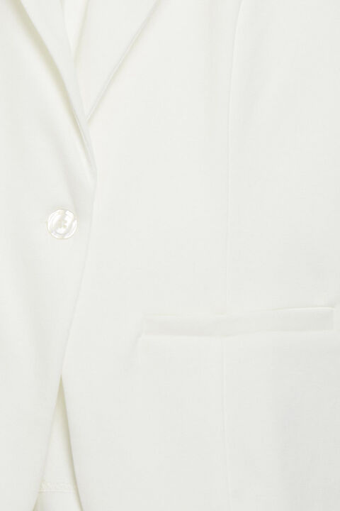 Zablazer 1 Blazer