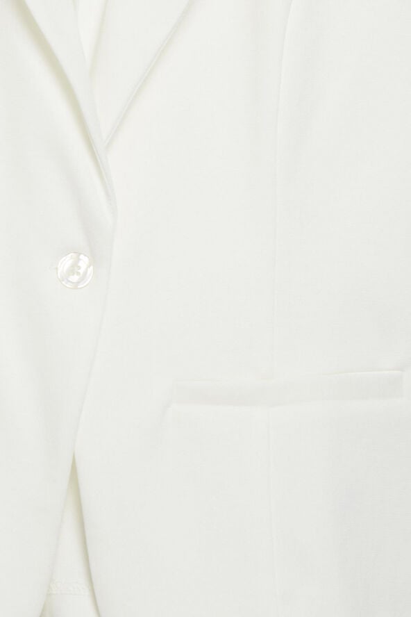 Zablazer 1 Blazer