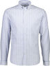 Striped superflex oxford L/S