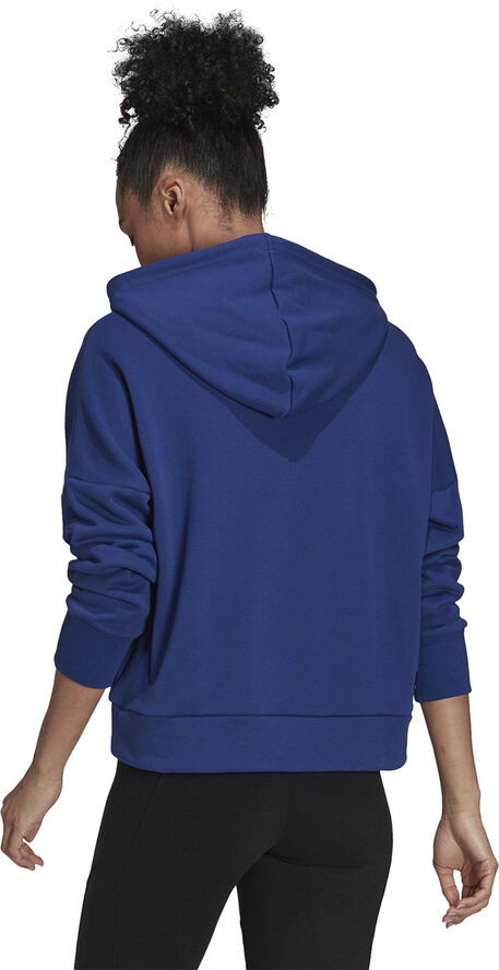 Sportswear Future Icons hættetrøje