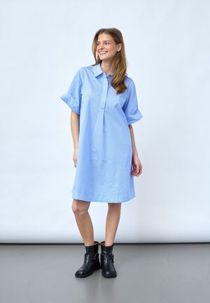 EDINA-DR1
