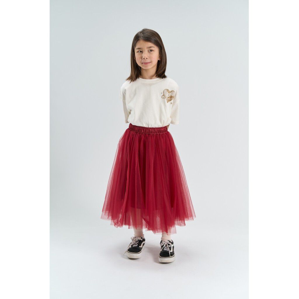 Tnpeaven Mesh Skirt