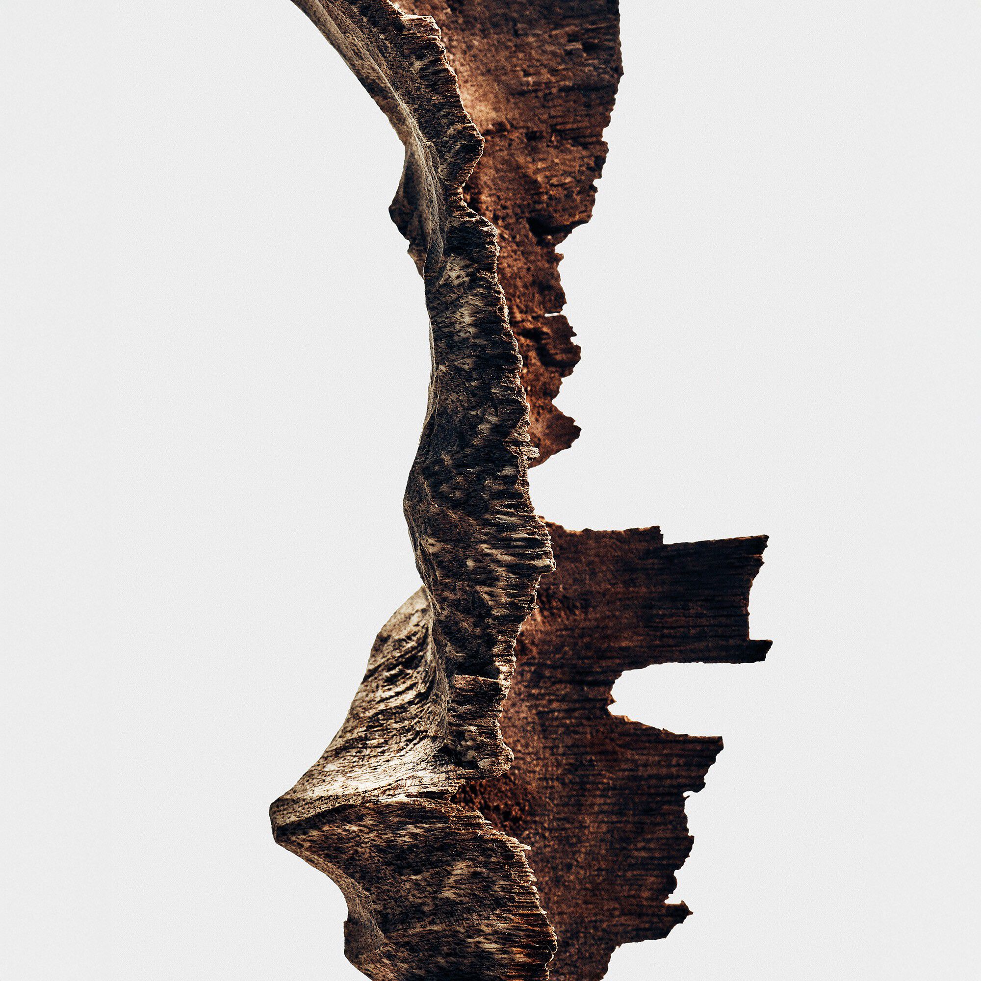 LOEWE Crafted Collection Bittersweet Oud Eau de Parfum 100 ml