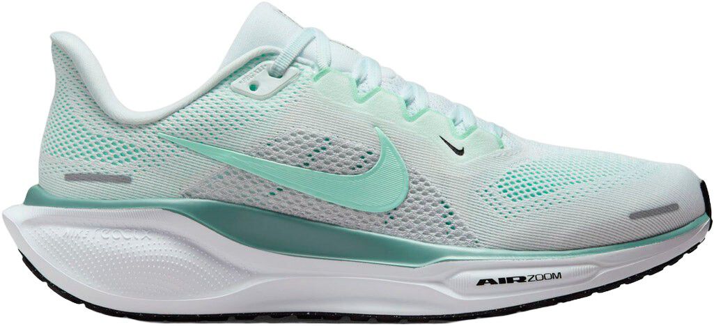 Pegasus 41 L&oslash;besko