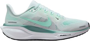 Pegasus 41 L&oslash;besko