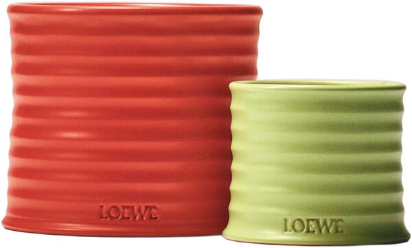 LOEWE Tomato Medium Candle