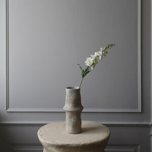 Delphinium Flower