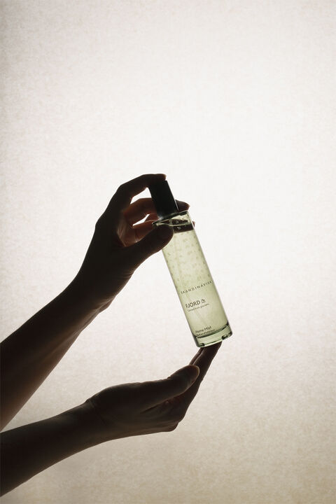Home Mist FJORD 100ml