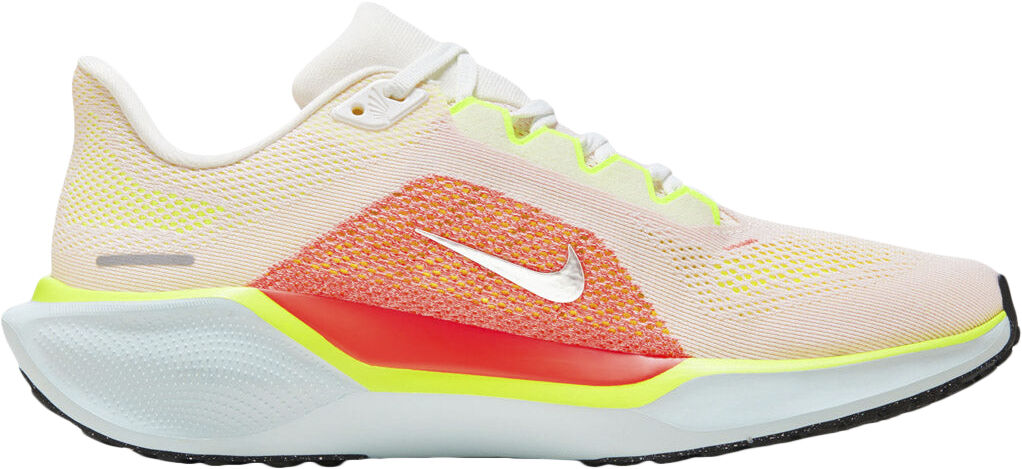 Pegasus 41 L&oslash;besko