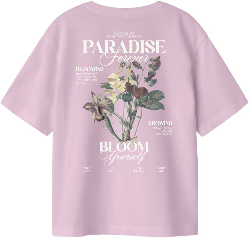 NKFNORLA SS NREG TOP