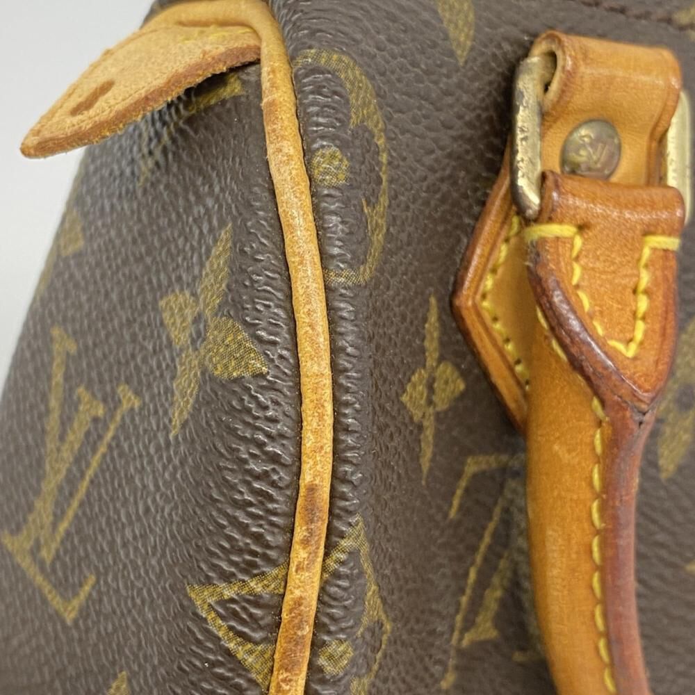 Louis Vuitton Speedy