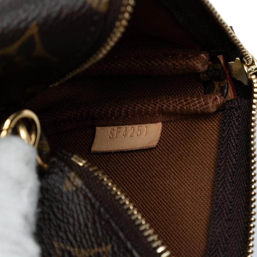 Louis Vuitton Pochette Accessoires