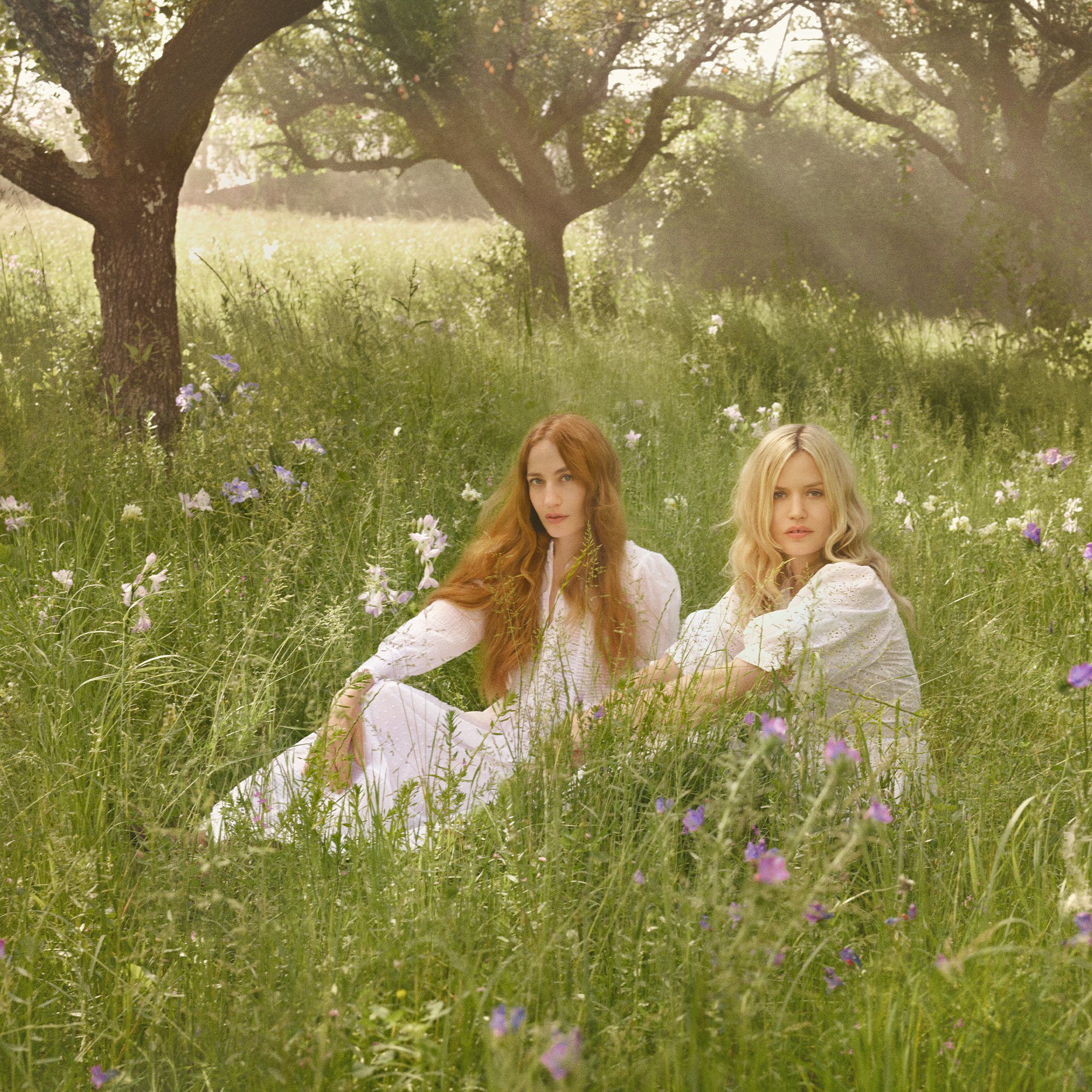 ENGLISH PEAR COLLECTION