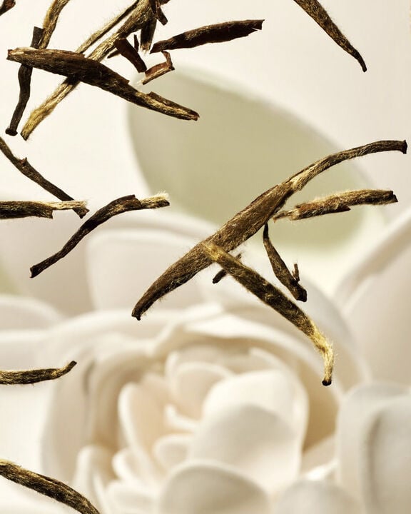 The Ritual of Karma - Medium Julegaveæske