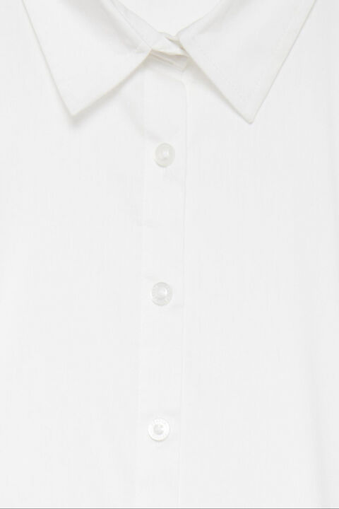 Zashirt 1 shirt solid