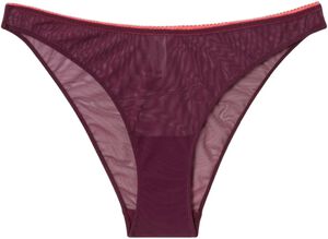 Mesh Bikini Briefs