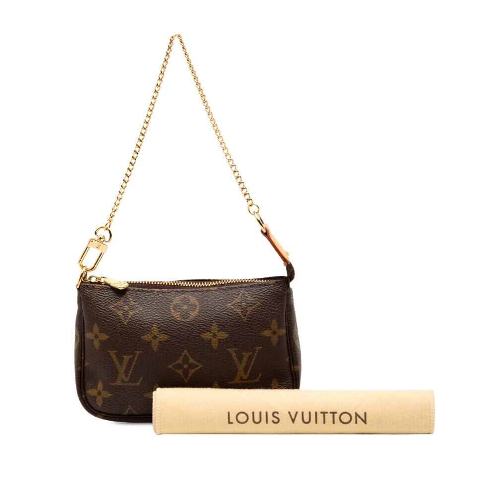 Louis Vuitton Pochette Accessoires