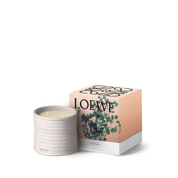 LOEWE Oregano Medium Candle
