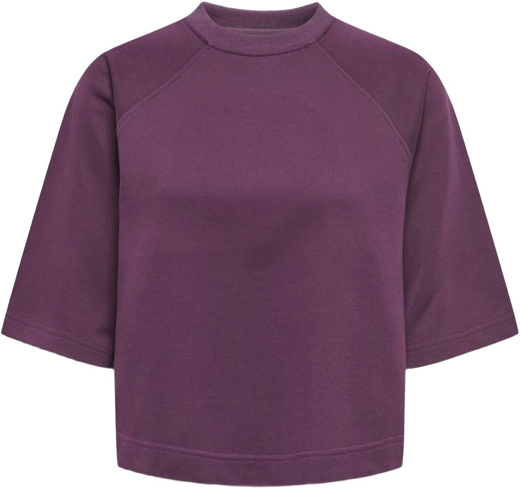 ONLDASIE 2/4 O-NECK RAGLAN UB CS SW