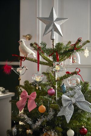 Ann-Sofi Romme Årets julefugl 2025 lille klar