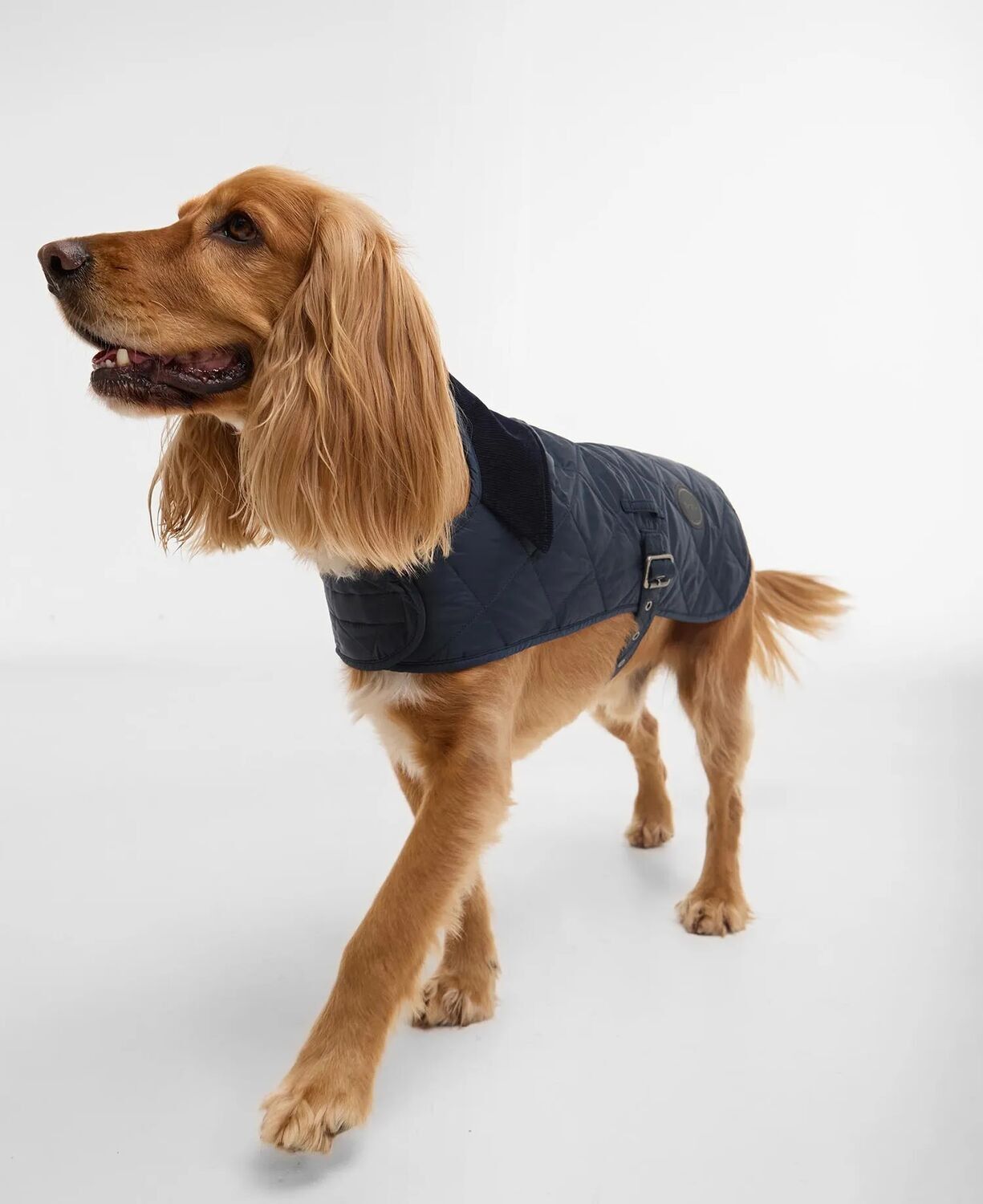 Barbour Quilt Dog Coat
