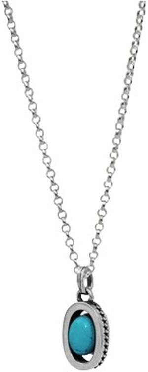 Icon Link Turquoise Necklace