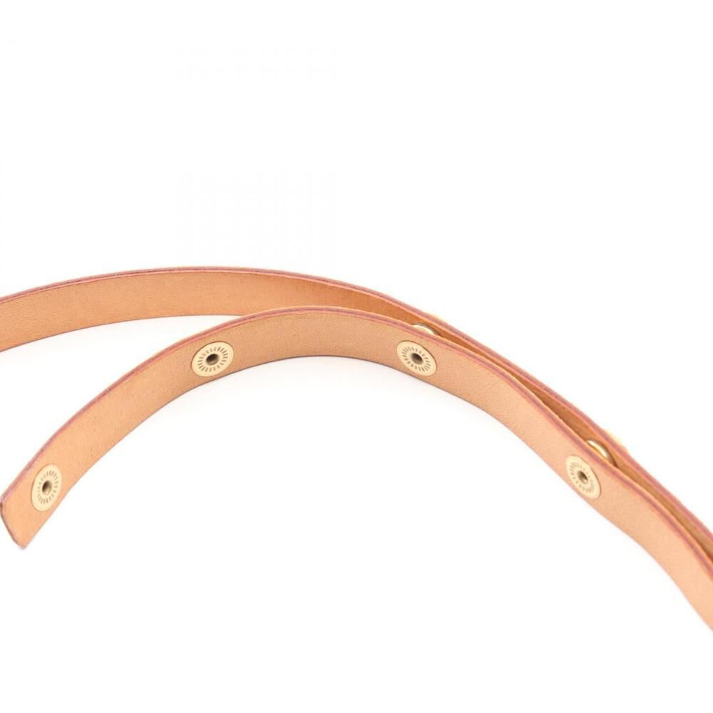 Louis Vuitton Florentine Pochette