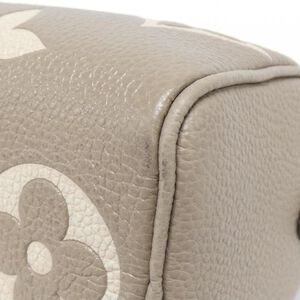 Louis Vuitton Speedy