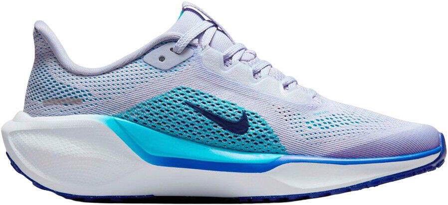 Pegasus 41 L&oslash;besko