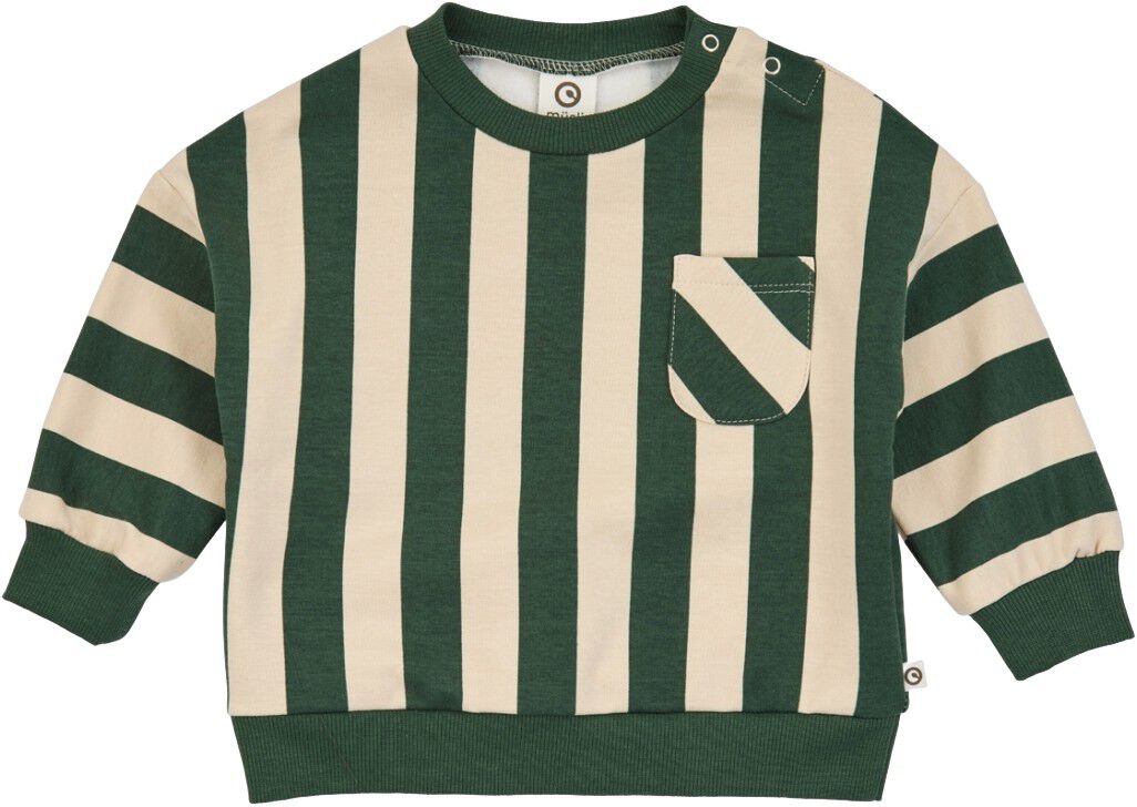 Stripe Sweatshirt Baby