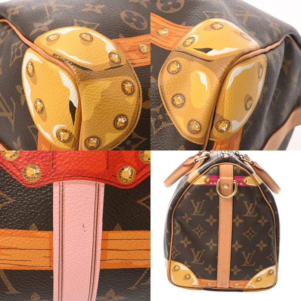 Louis Vuitton Speedy