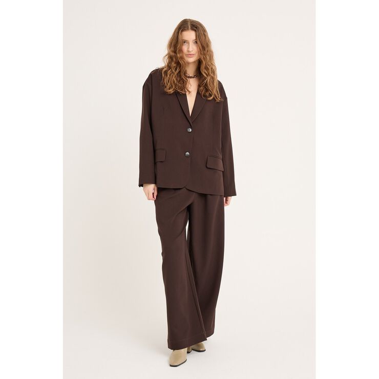 Allium blazer