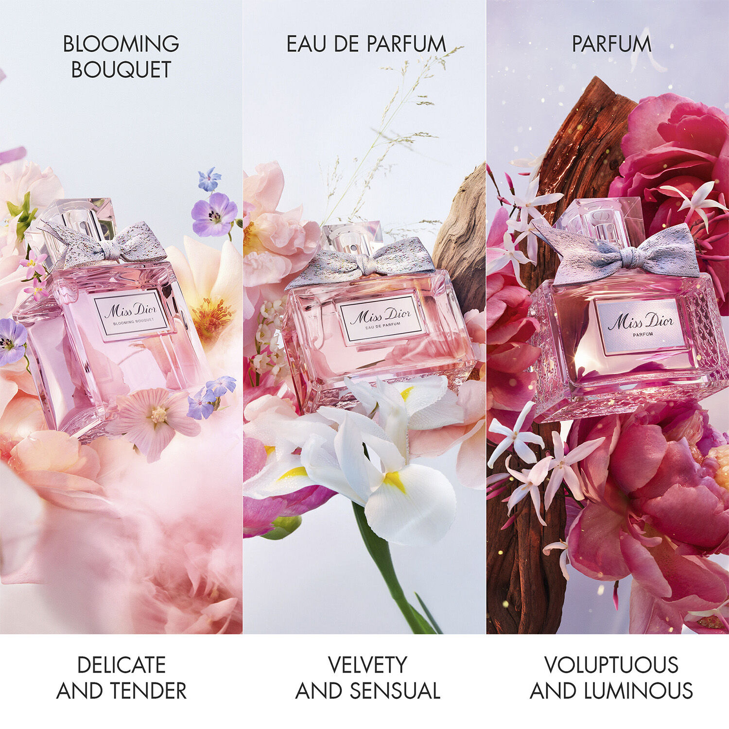 Miss Dior Blooming Bouquet Eau de Toilette