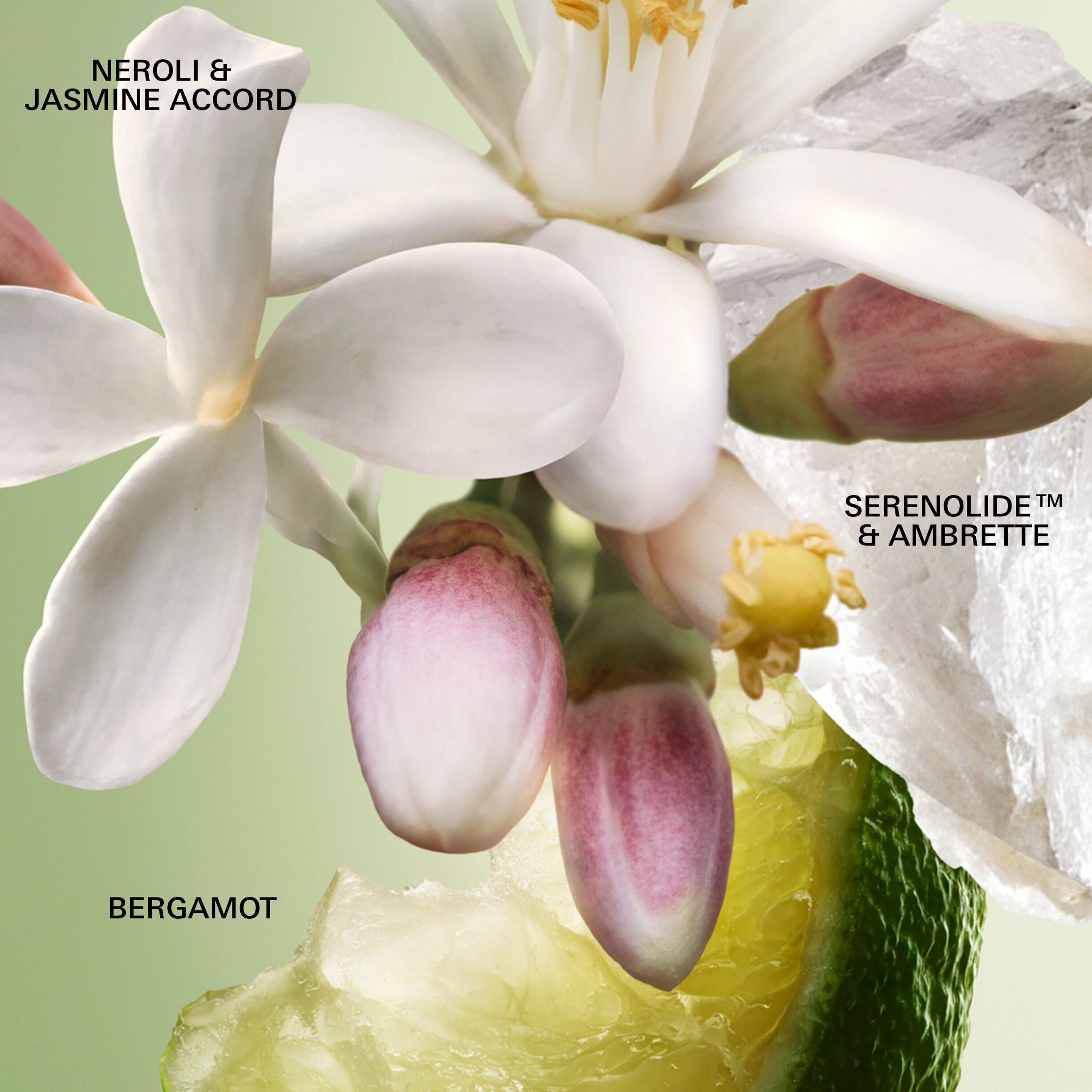 Prada Paradoxe Virtual Flower Eau de Parfum