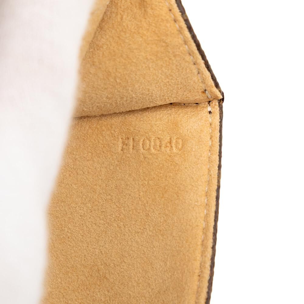 Louis Vuitton Twin Pochette