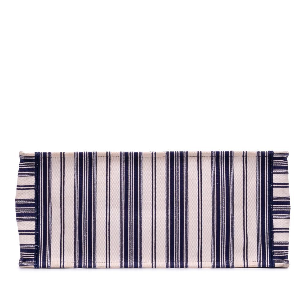 Dior Book Tote