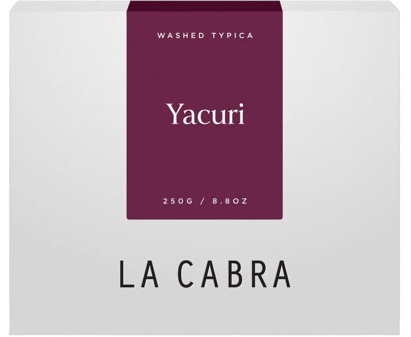 Yacuri Washed Typica