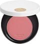 Rose Hermès Silky Blush Powder
