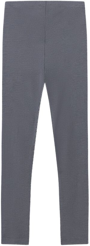 Leg